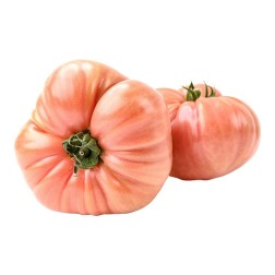 Tomate rosa 1.5 kg