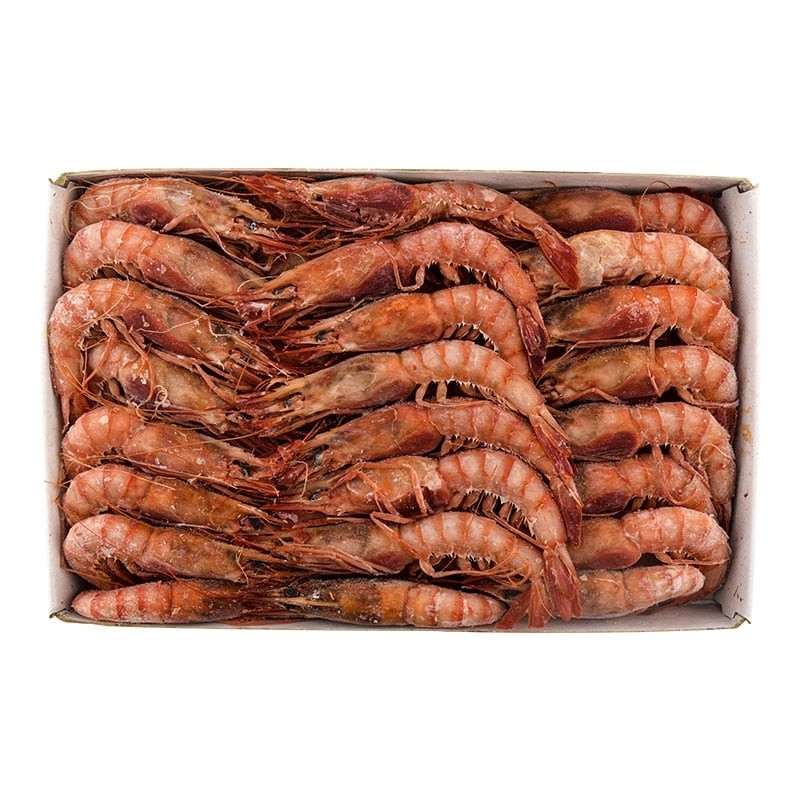 Gamba roja Gober 38-42 piezas 1.25 kg Gamba roja Gober 38-42 piezas 1.25 kg