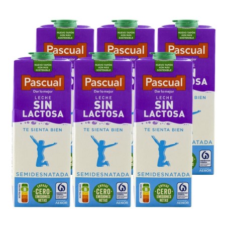 Leche semidesnatada sin lactosa Pascual 1 litro pack 6 bricks