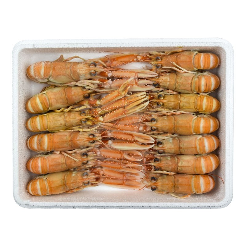 Cigalas 1.5 kg - 11/15 piezas Cigalas 1.5 kg - 11/15 piezas