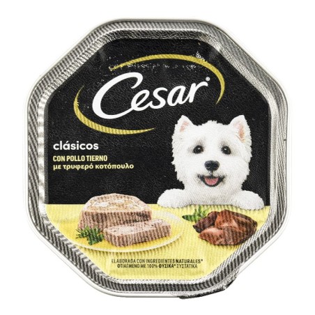 Comida húmeda para perros con pollo tierno Cesar Clásicos tarrina 150 g
