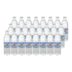 Agua mineral Sedovin 500 ml pack 24 de botellas