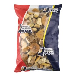 Cocktail de setas Rucagel bolsa 1 kg