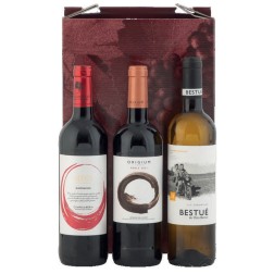 Estuche de Navidad de productos Aragoneses 915