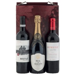 ESTUCHE VINO ARAGÓN 916