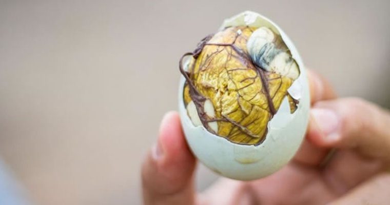 Los 5 alimentos más repugnantes del mundo