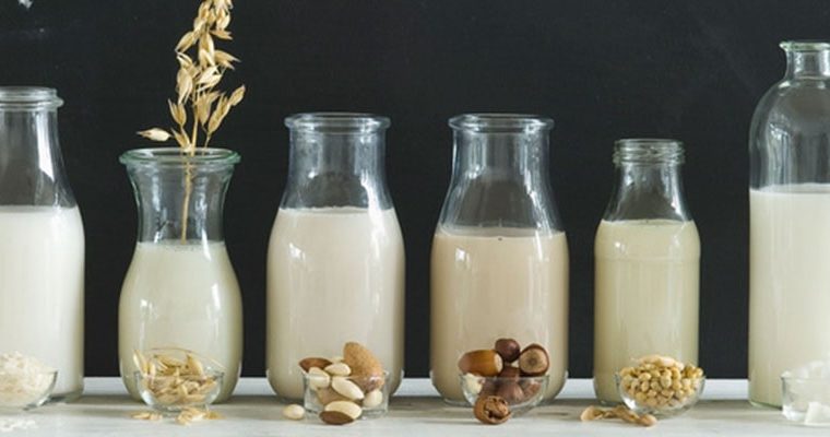 Leches vegetales y todos sus beneficios