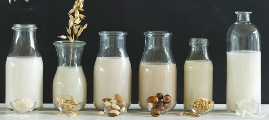 Leches vegetales y todos sus beneficios