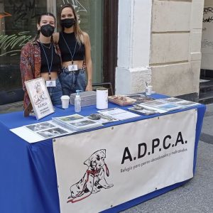 Mesa con voluntarias de ADPCA