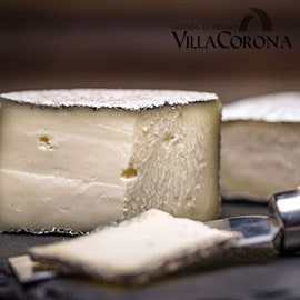Quesos Villacorona