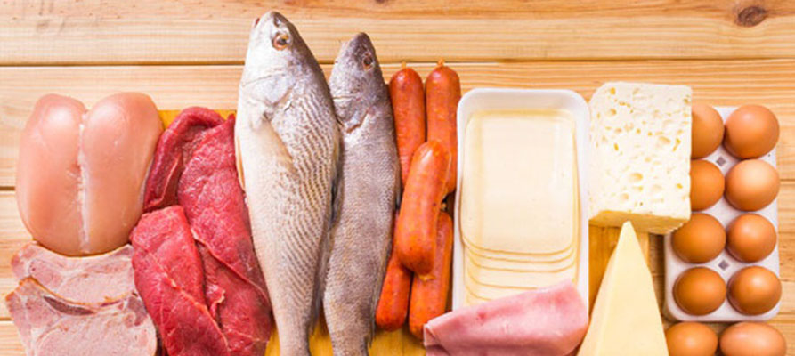 Efectos de proteínas y carbohidratos en estado de ánimo