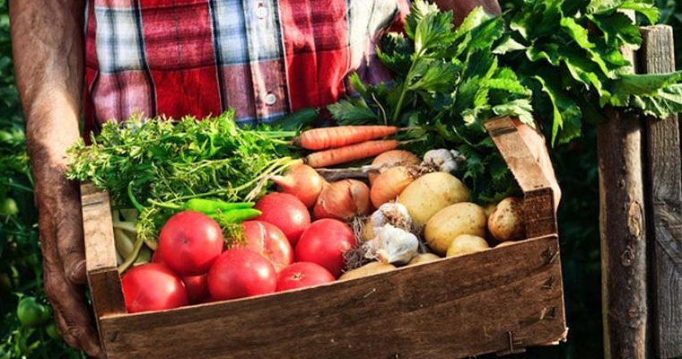 Beneficios de los productos ecológicos