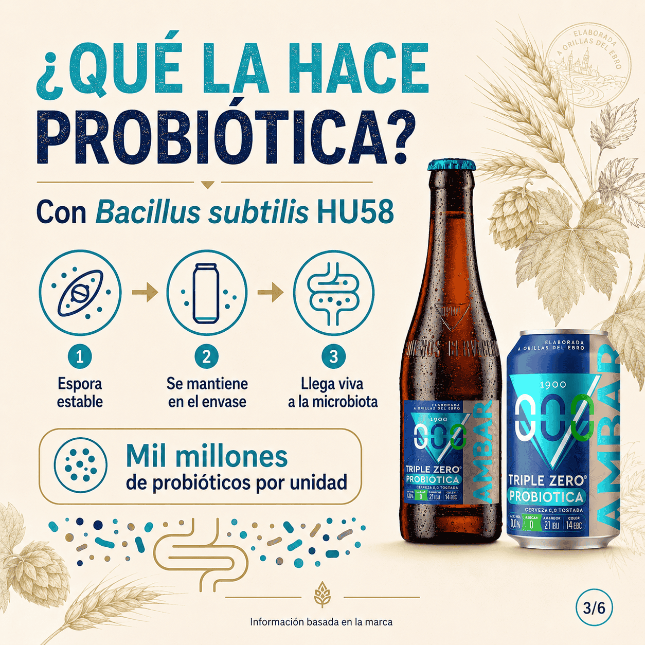 Propiedades cerveza Ambar Triple Zero Probiótica
