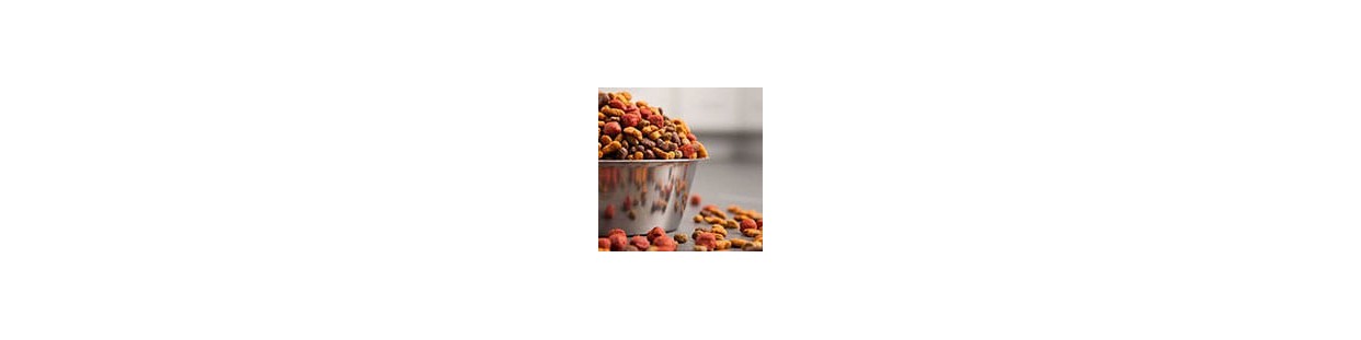 Comida para animales a Domicilio - Sedovin