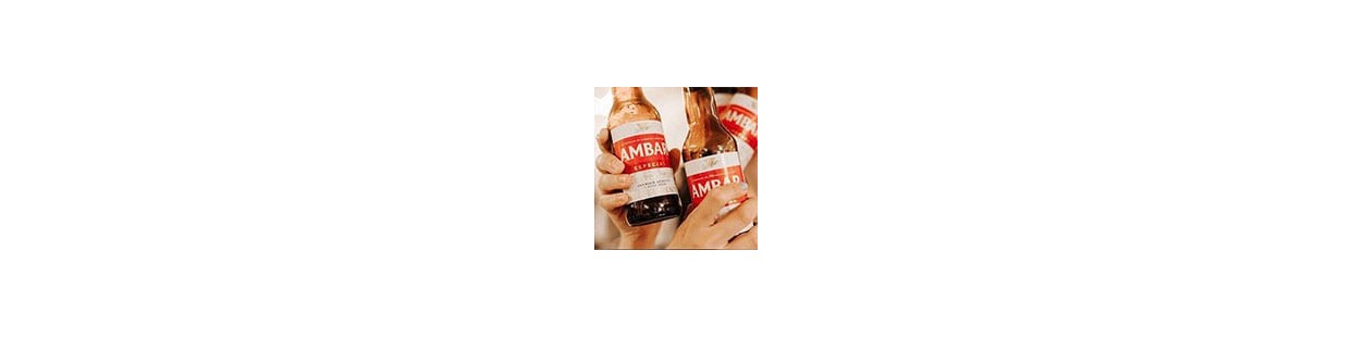 Selección de Cervezas aragonesas