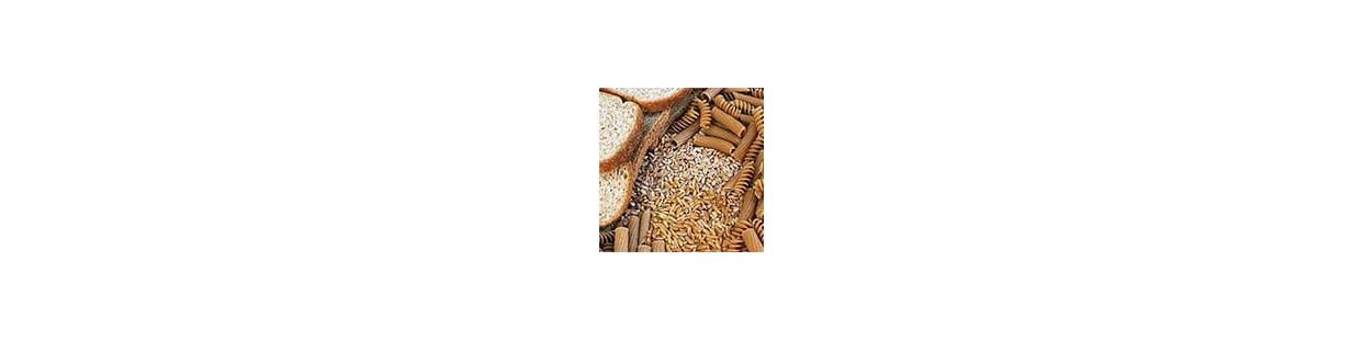 Comprar Comida Integral a Domicilio
