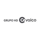Grupo HD Covalco Grupo HD Covalco